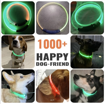 DOGCARE LC01 LED Dog Collar - Colorful Luminous Collar 300m Visible Anti-lost IP67 Waterproof Rechargeable Pet Cat Dog Accessories