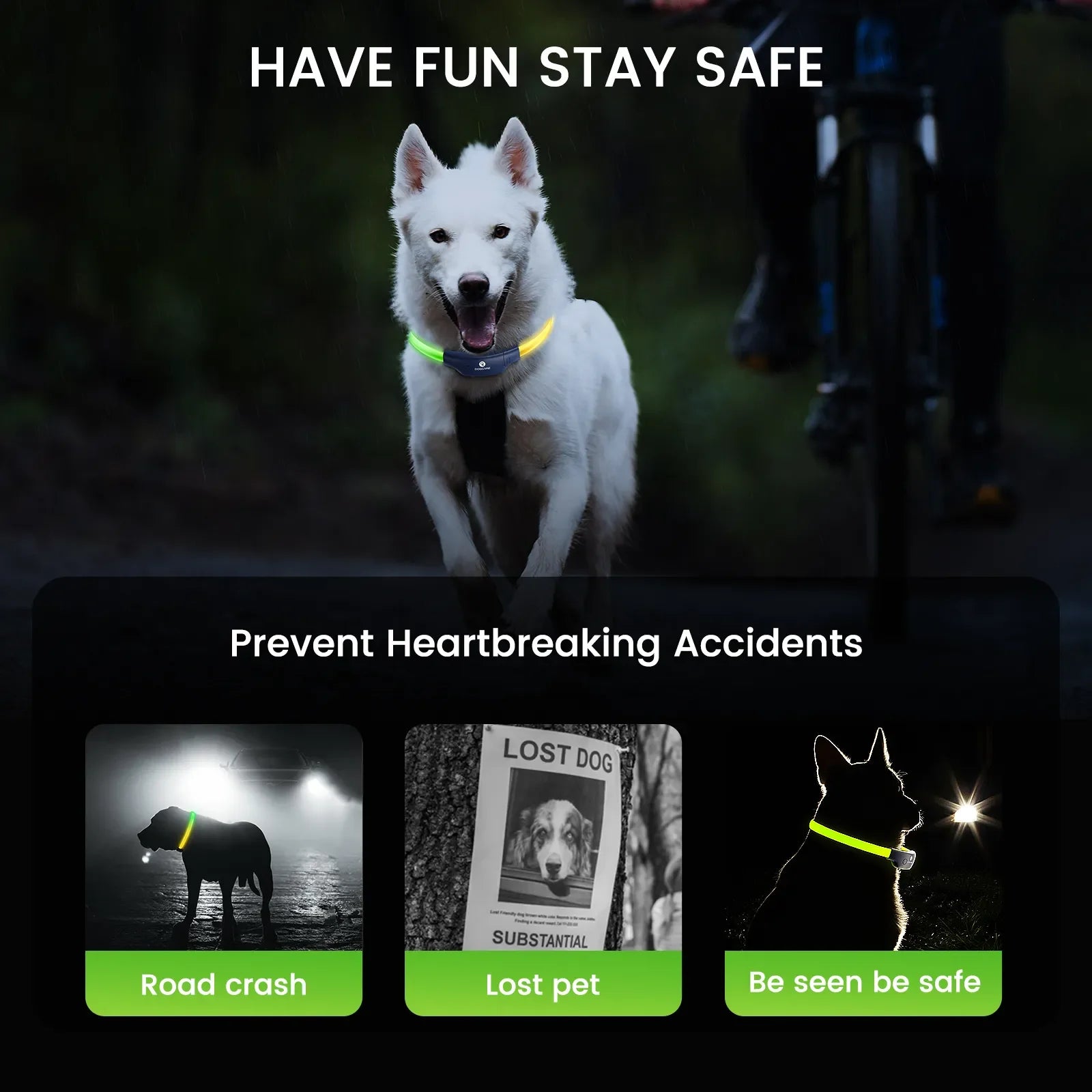 DOGCARE LC01 LED Dog Collar, LED collar for pets to increase visibility and prevent accidents.