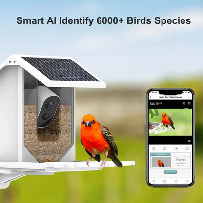 Bird Feeder Video Camera - With Solar Panel WiFi Battery Wireless Outdoor Cam Bird Feeders House AI Smart Identify Bird Specifies