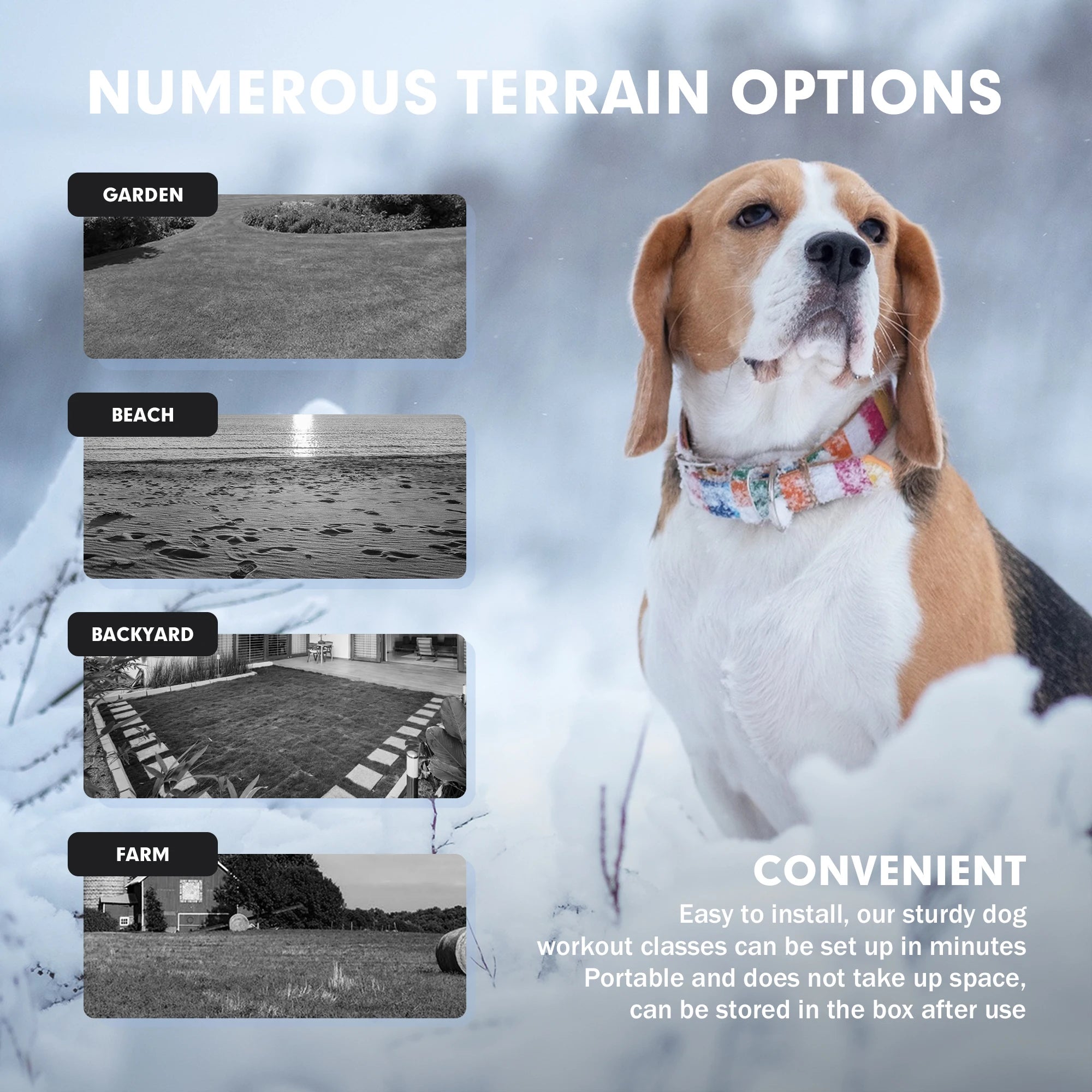 DAHOUHOU Interactive Dog Toy, Portable dog agility equipment with easy setup and storage for backyard or farm training.