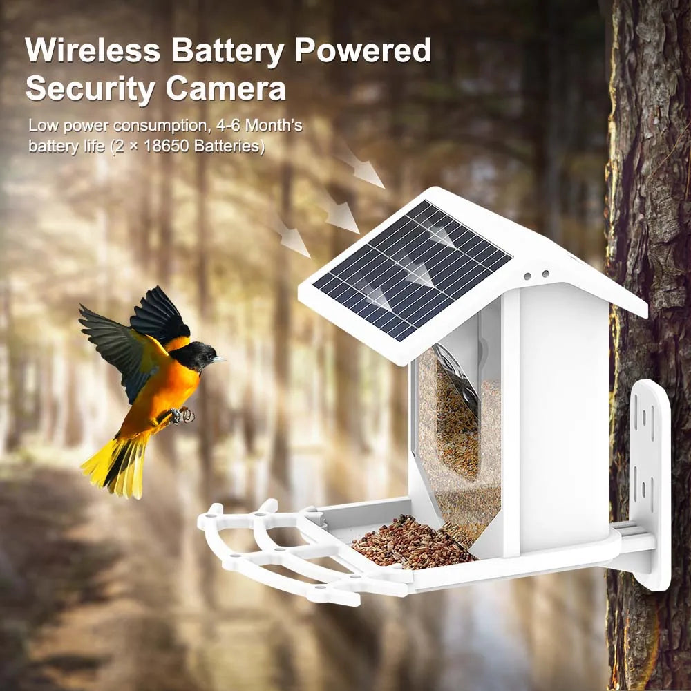 Bird Feeder Video Camera, Wireless security camera powered by 2x 18650 batteries, lasts up to 6 months.