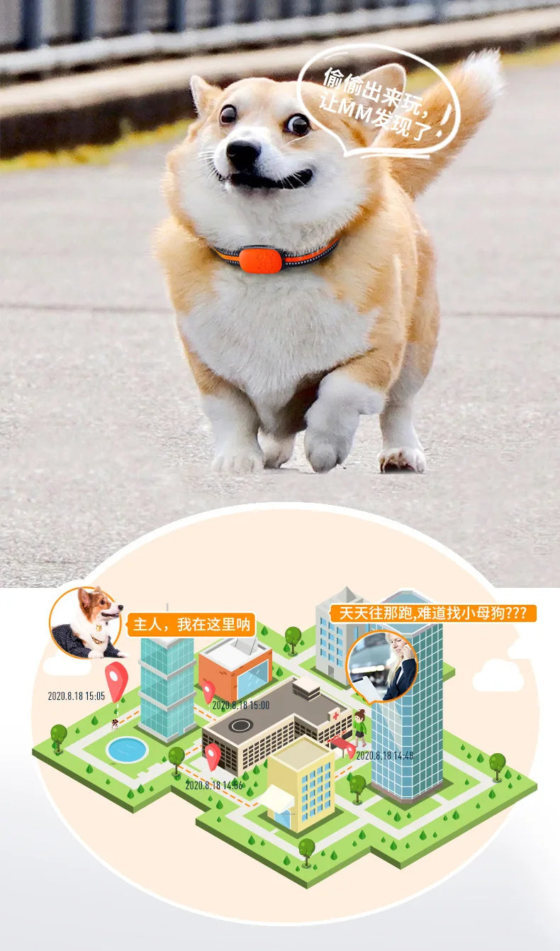 Long-lasting pet tracker with built-in polymer battery lasts up to 30 hours.