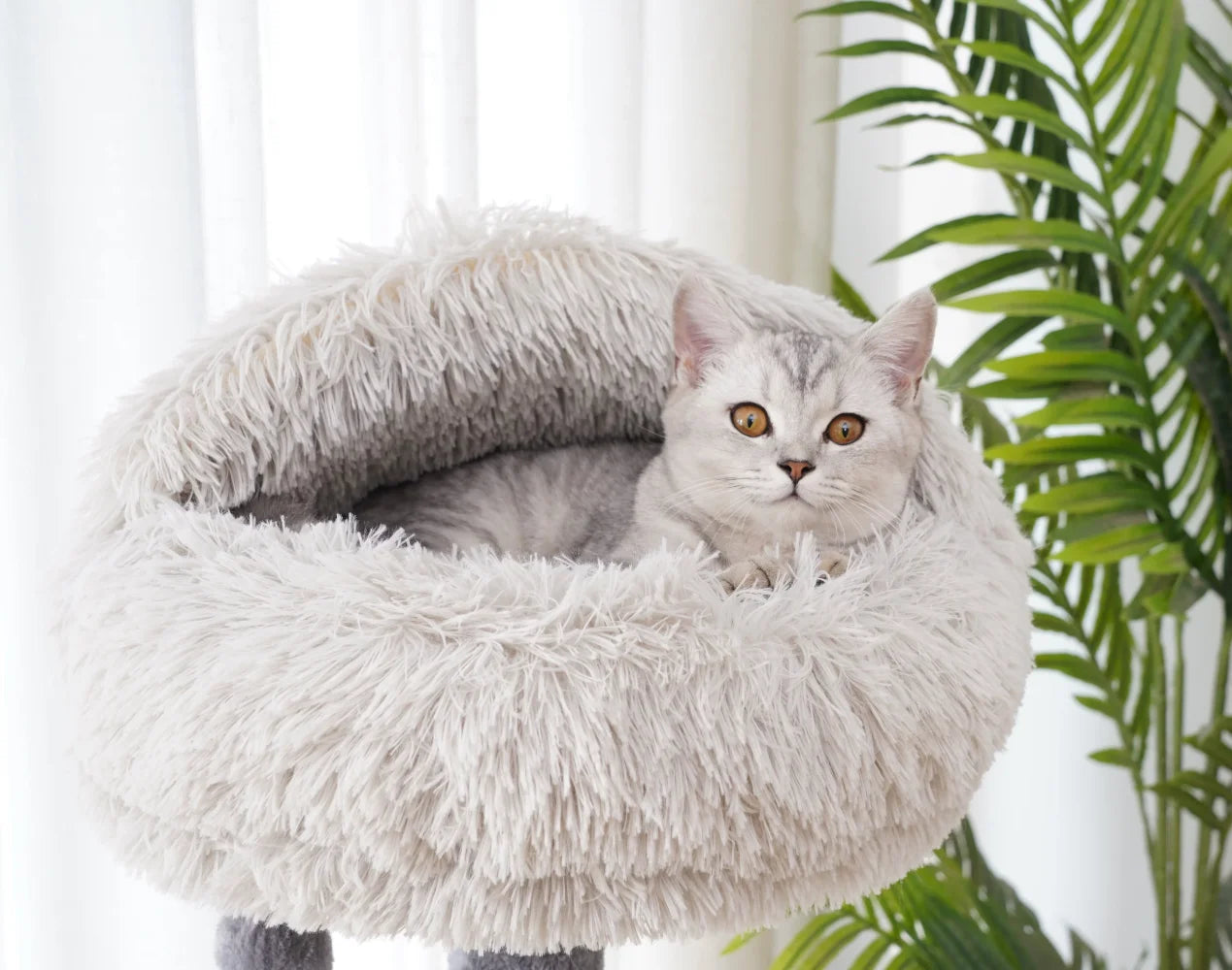 Catry 4-Level Grey Cat Tree, Modern cat tree with recycled paper rope for healthy claw trimming.