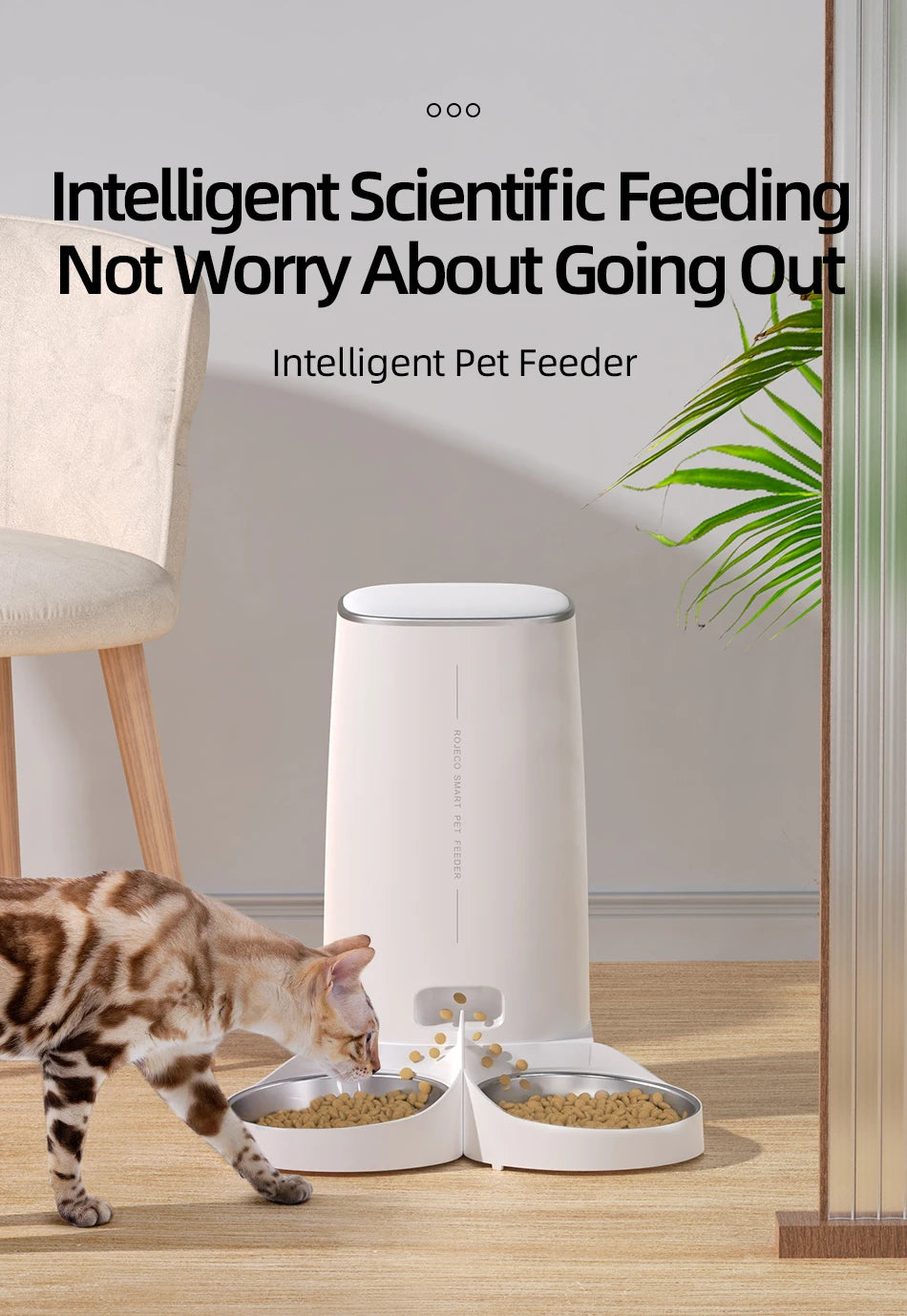 ROJECO 4L Automatic Cat Feeder, Convenient and stress-free feeding for your pet with intelligent timing.