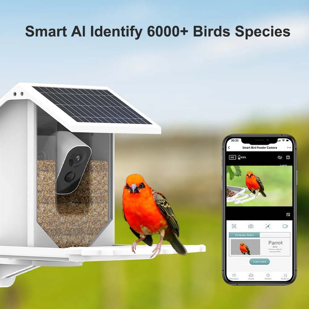 Bird Feeder Video Camera, High-tech camera detects over 6,000 bird species wirelessly with solar power and WiFi.