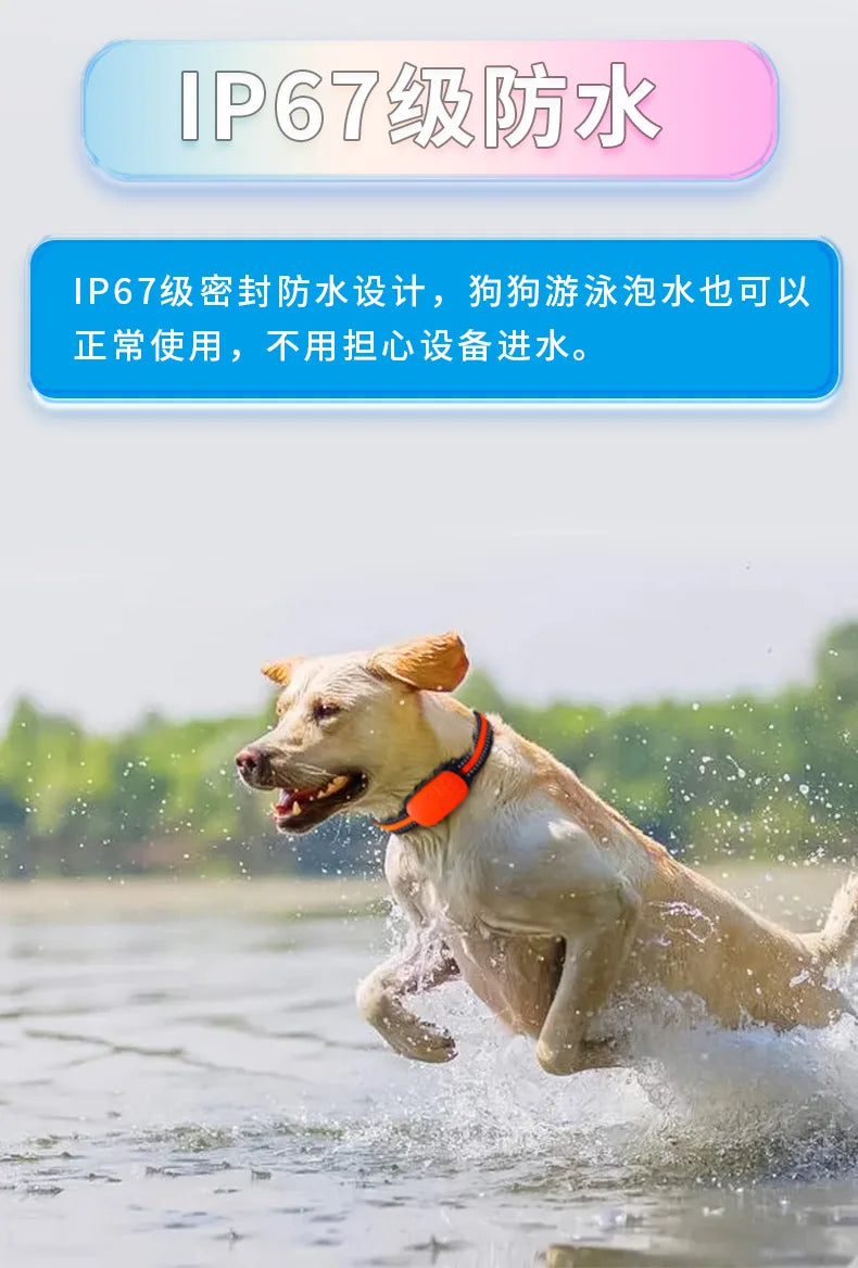 Real-time pet tracking with alerts, waterproof design.