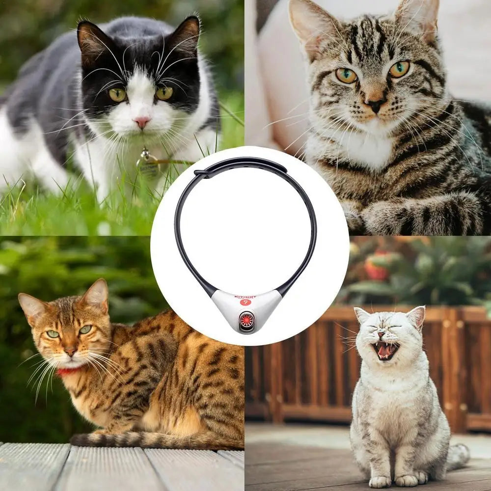 Electric Cat Collar, Stimulates curiosity, entertains, and keeps cats active with playful lights and colors.