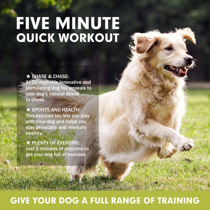 DAHOUHOU Interactive Dog Toys - Lure Course Machine for Dogs Agility Training Equipment for Dogs