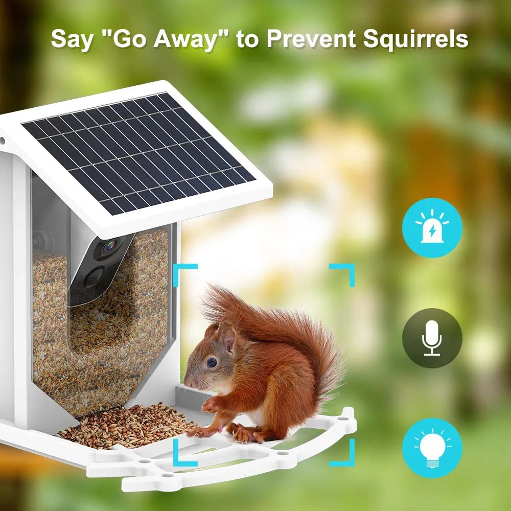 Bird Feeder Video Camera, Prevent squirrels from visiting by using feeder's built-in guard or adjusting perch size.