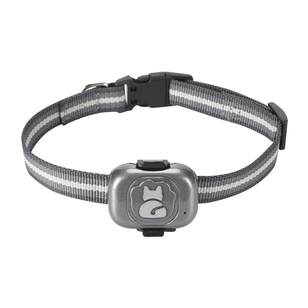 Dog Collar, GPS tracking allows for real-time location monitoring and alerts, keeping pets and owners connected.