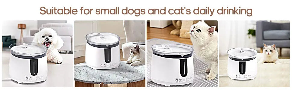 2L Cat Water Fountain, Perfect for cats and small pets, this fountain provides fresh water all day.