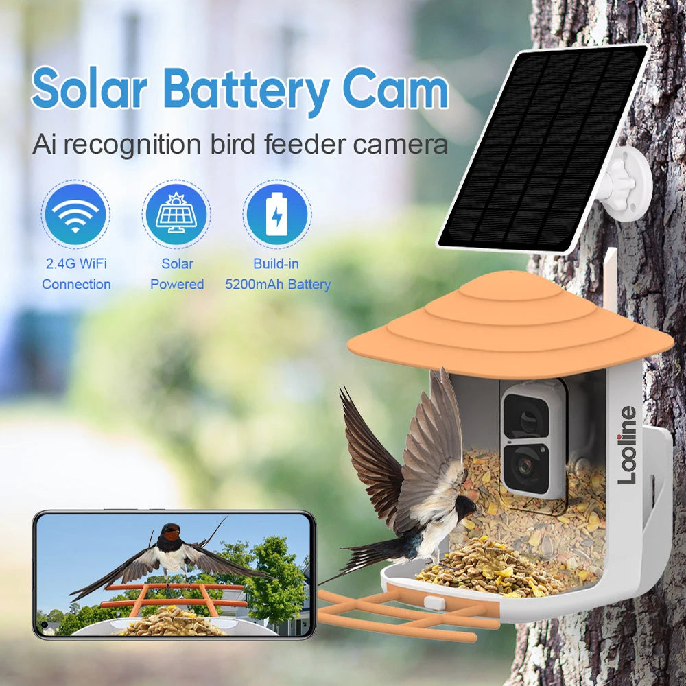 New Bird Feeder, Solar-powered bird feeder camera with AI recognition and WiFi connectivity.