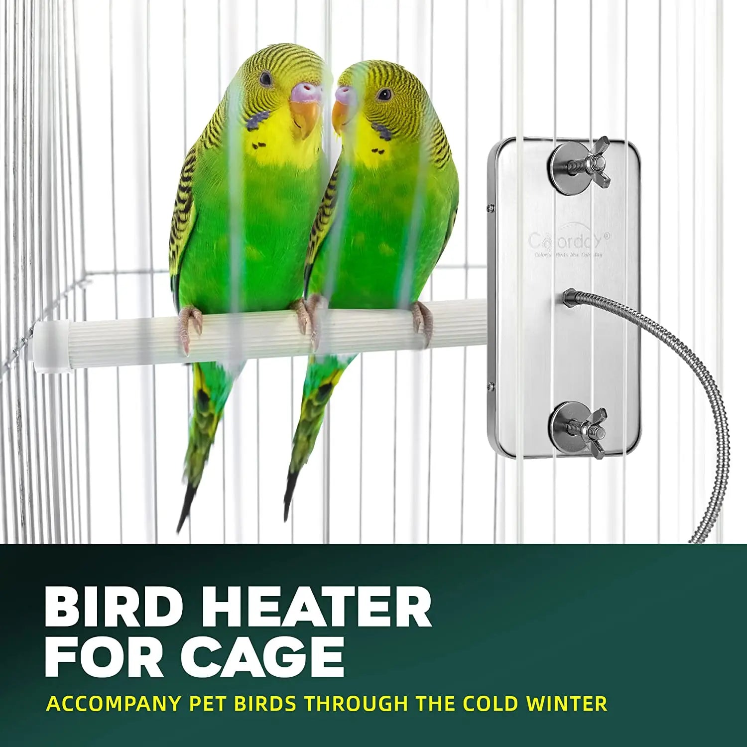 Birds Thermostat Lamp, Cozy heater for bird cages keeps pets warm and healthy during winter.