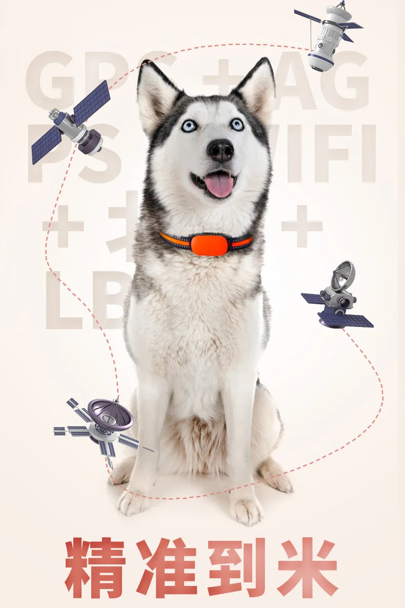 Lightweight and comfortable pet tracker with adjustable features.