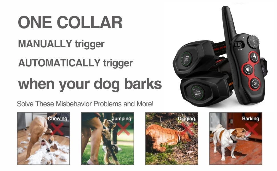 Dog Training Collar Corrects Misbehaviors