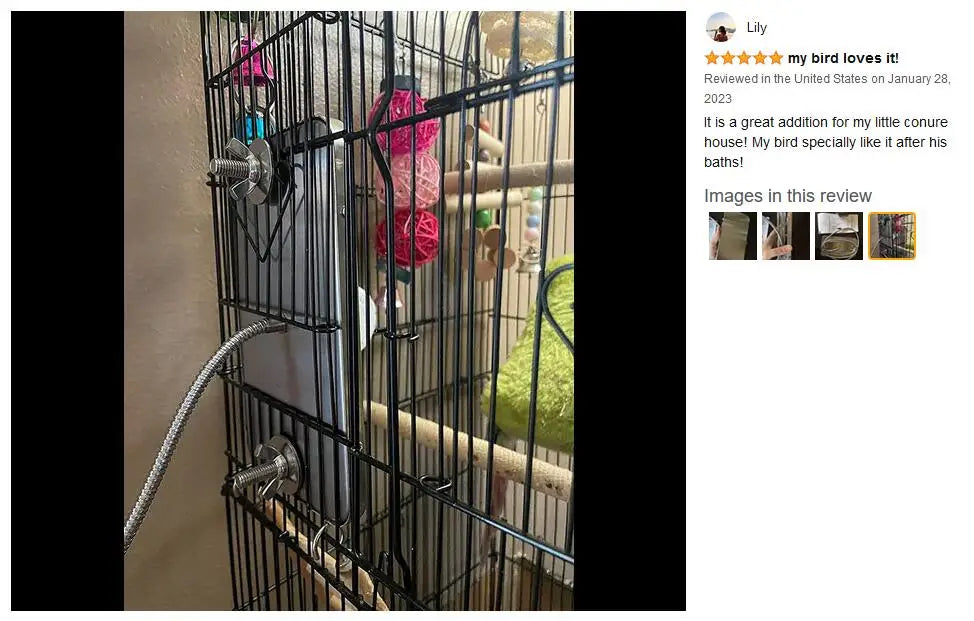 Birds Thermostat Lamp, Bird's Thermostat Lamp brings joy to a parrot's enclosure.