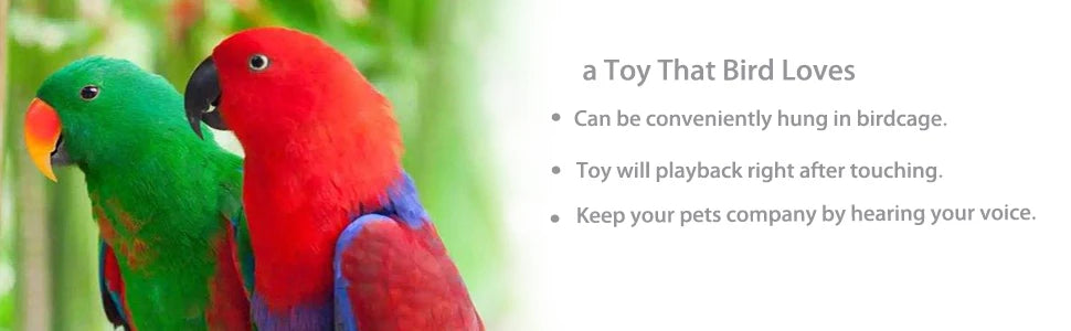 Parrot Toy, Interactive pet toy that plays recorded voices when touched, teaching pets to mimic human speech.