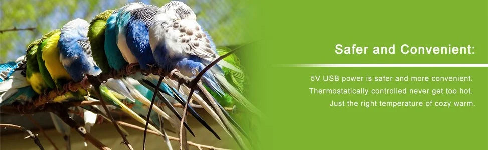 Birds Thermostat Lamp, Thermally controlled lamp provides cozy warmth for birds without overheating.