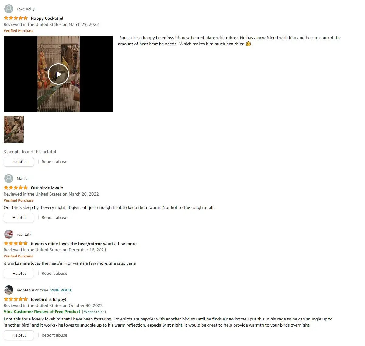 Birds Thermostat Lamp, Cozy companion: Cockatiel enjoys heated plate with mirror, controls temperature and has a friend by his side at night.