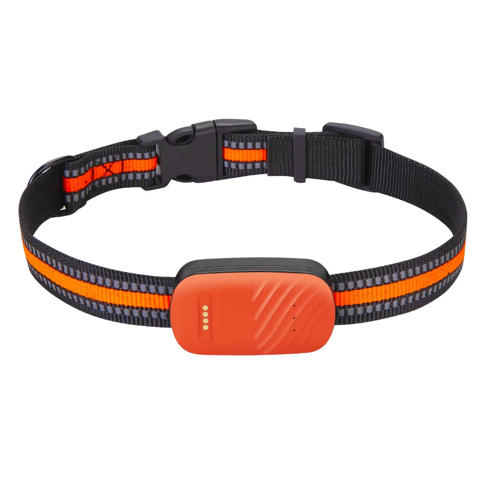 4G Pet Collar, Pet behavior insights and training tips, ideal for understanding furry friends.