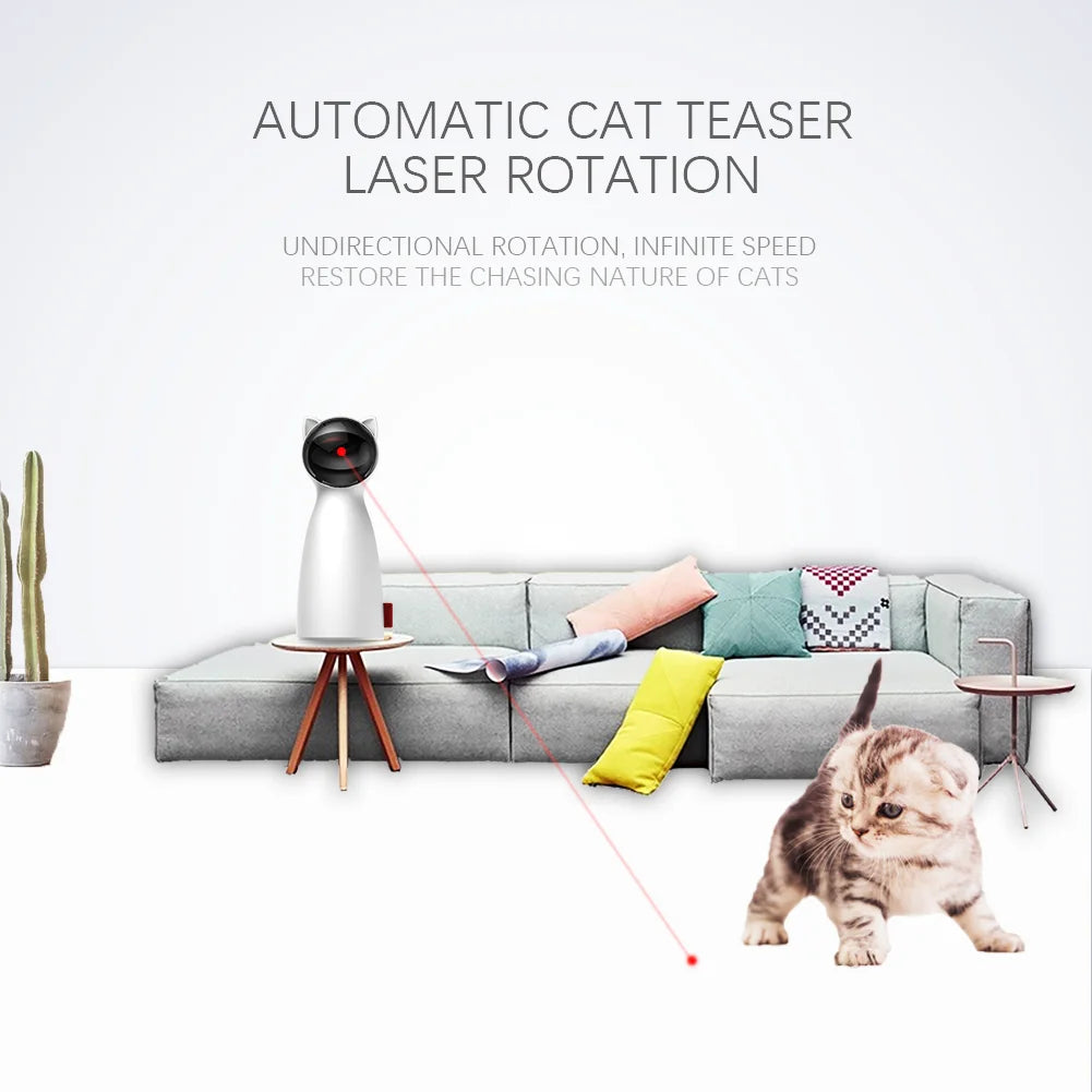 Cats play with automatic laser pointer that moves randomly, simulating prey for natural hunting stimulation.