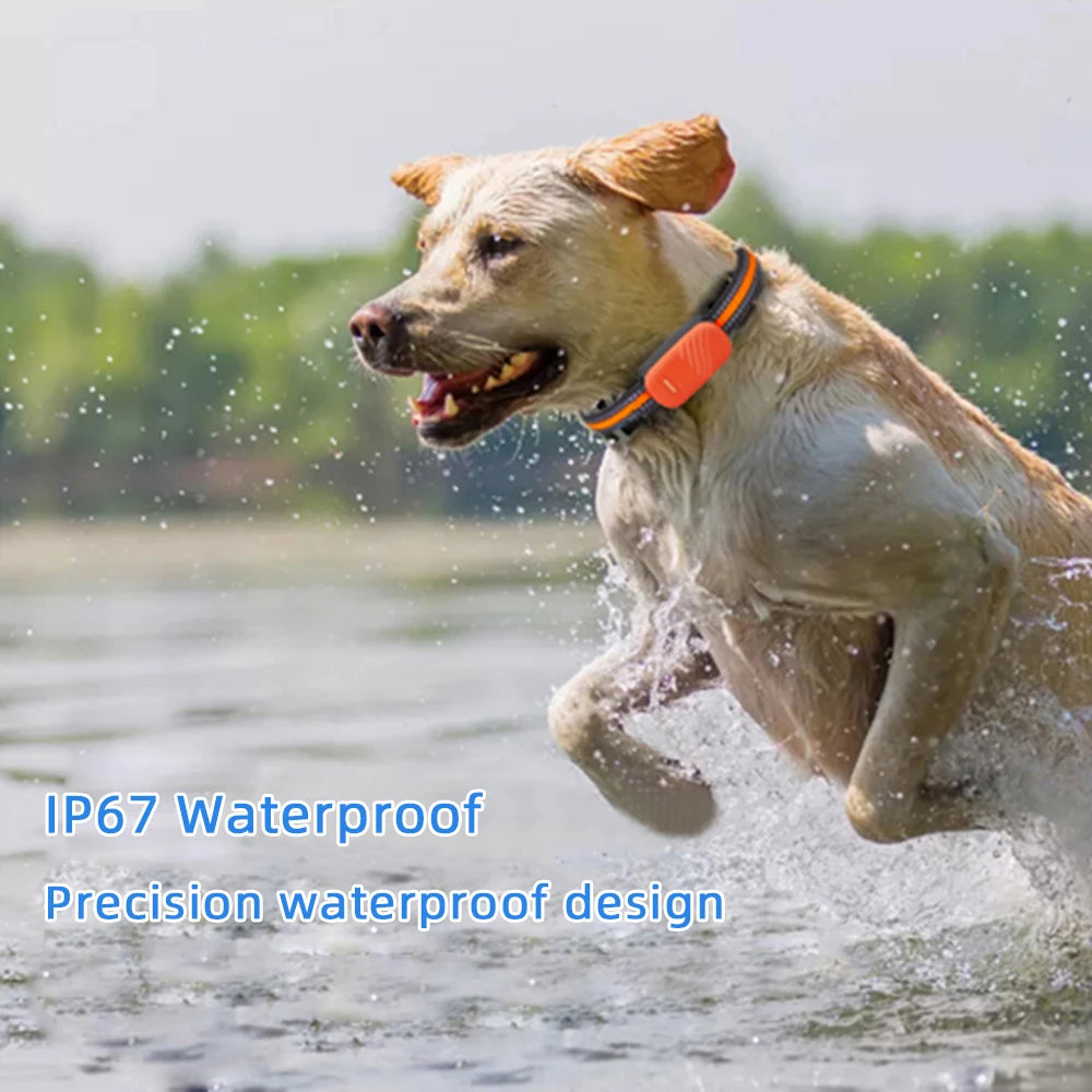 4G Pet Collar, Waterproof design ensures precise tracking in wet conditions (IP67 rated)