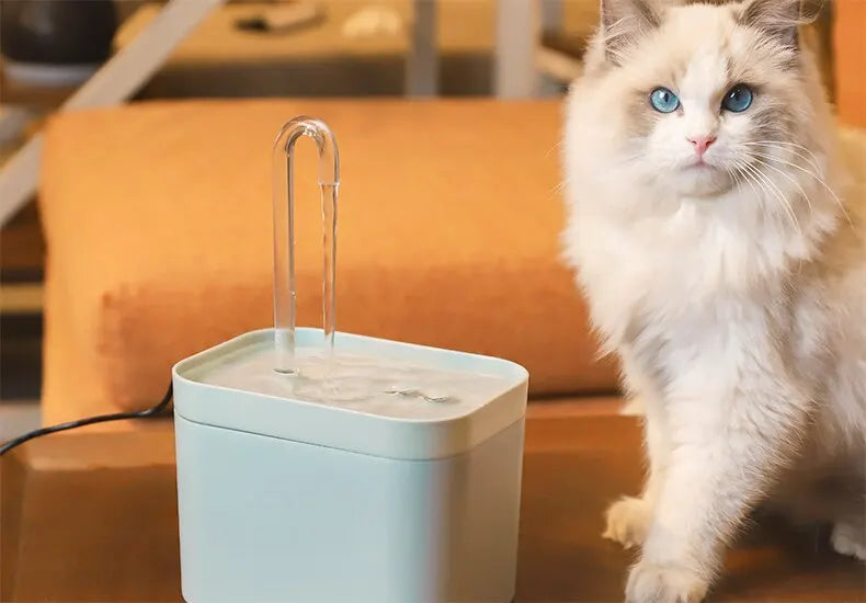 1.5L Pet Water Dispenser, Electric water dispenser with auto-filter and recirculation system for cats, featuring a 1.5L capacity.