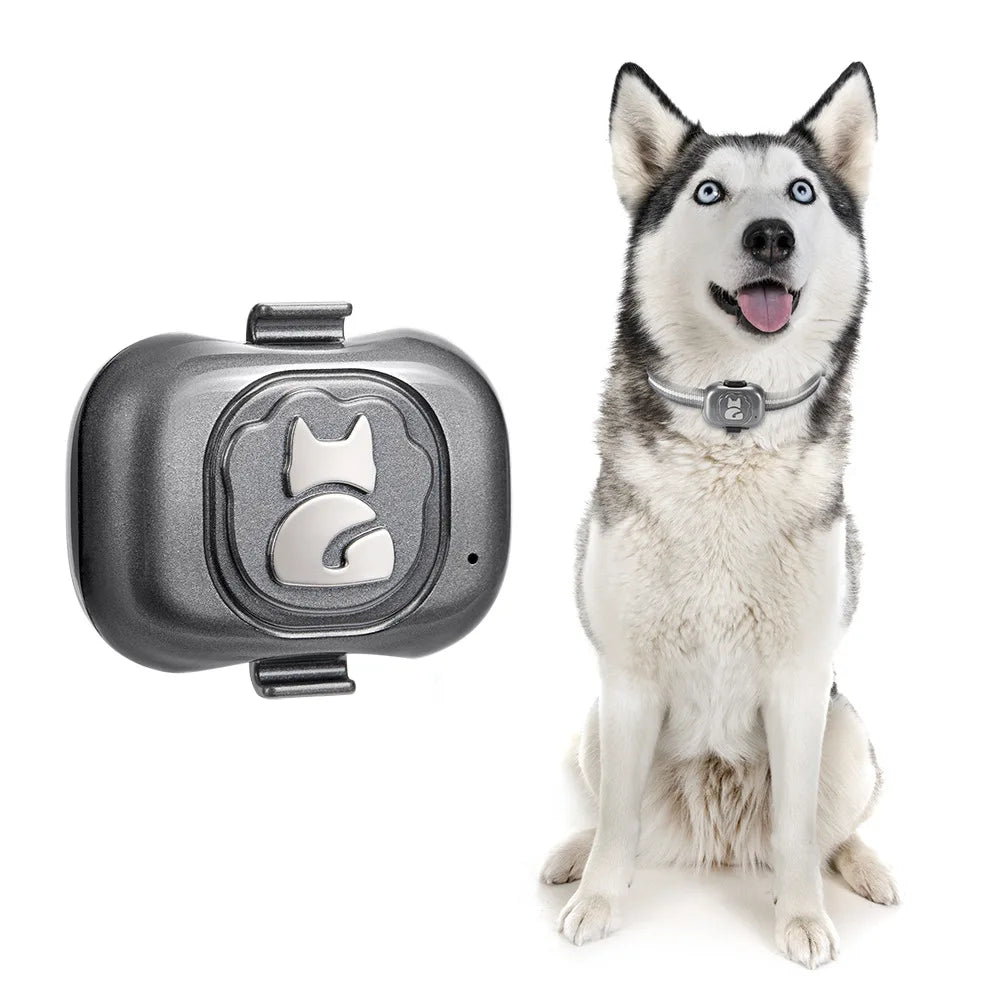 Dog Collar, Easy-to-navigate app connects seamlessly to the collar, providing user-friendly access to features.