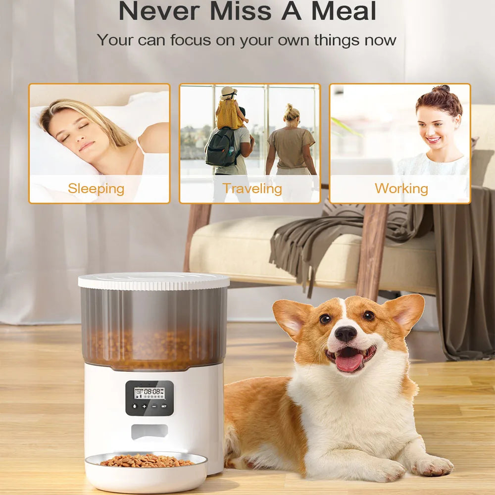 4L Pet Feeder, Conveniently feed your pet remotely with automated meal delivery.
