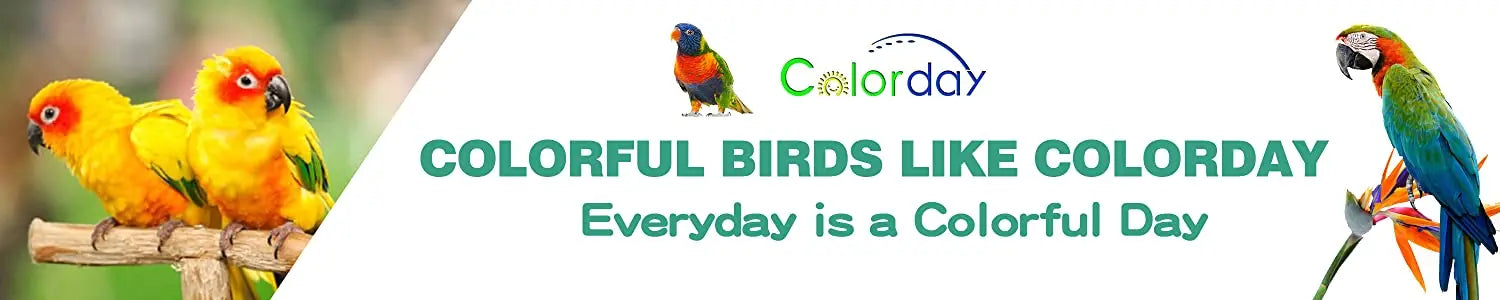Parrot Toy, Vibrant colors for parrots like you! Every day is a colorful adventure.