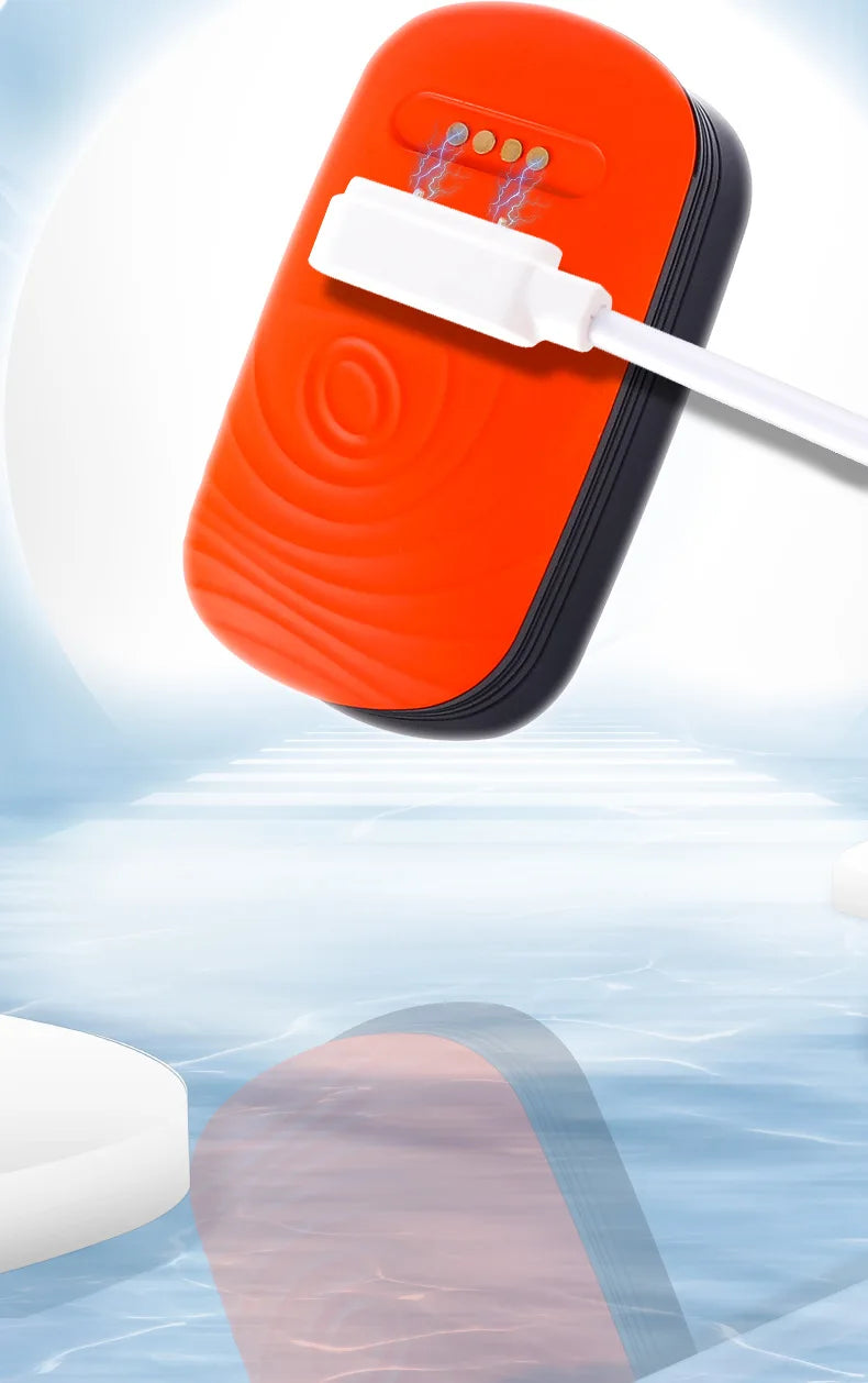 Pet Locator: Innovative tool for pet owners to ensure safe and secure companionship.