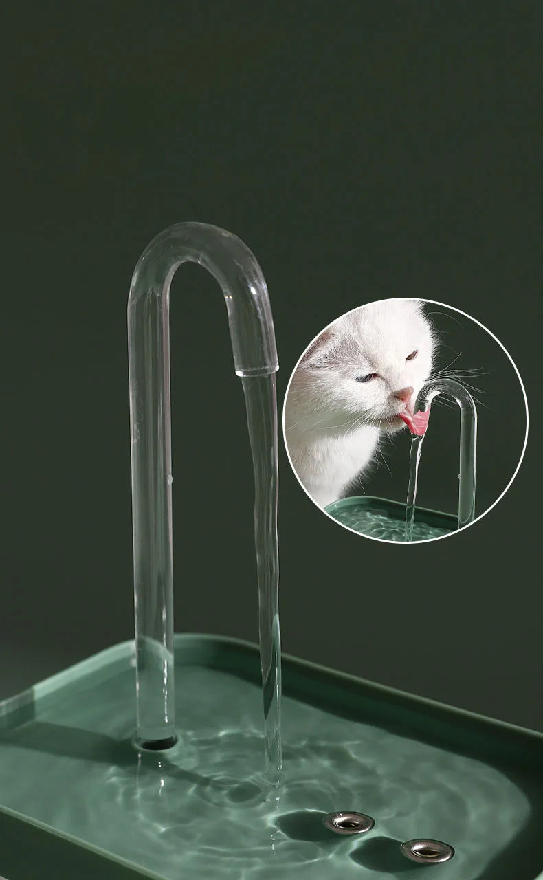 Cat Water Fountain, Pets and owners simplified pet care experience.