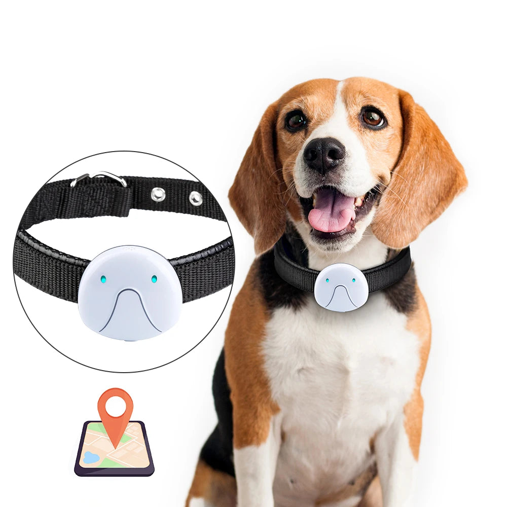 Smart Electronic Pet GPS Tracker Collar, GPS-powered tracking system provides nationwide coverage, pinpointing pet locations using advanced technology.