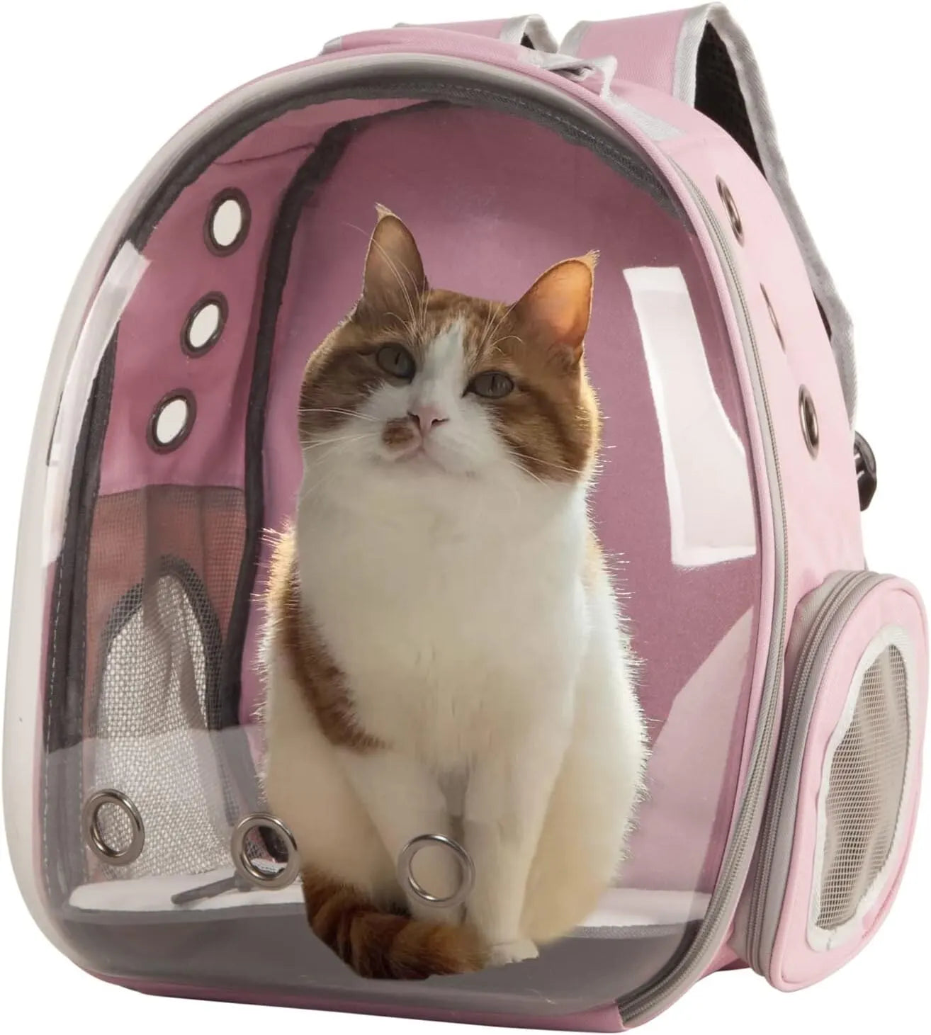 Color may vary due to monitor and lighting differences.