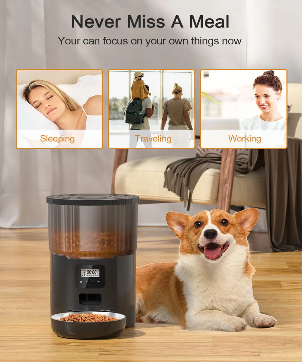 4L Pet Feeder, Automatic Feeder for Busy Pet Owners: Never Miss a Meal on-the-go!