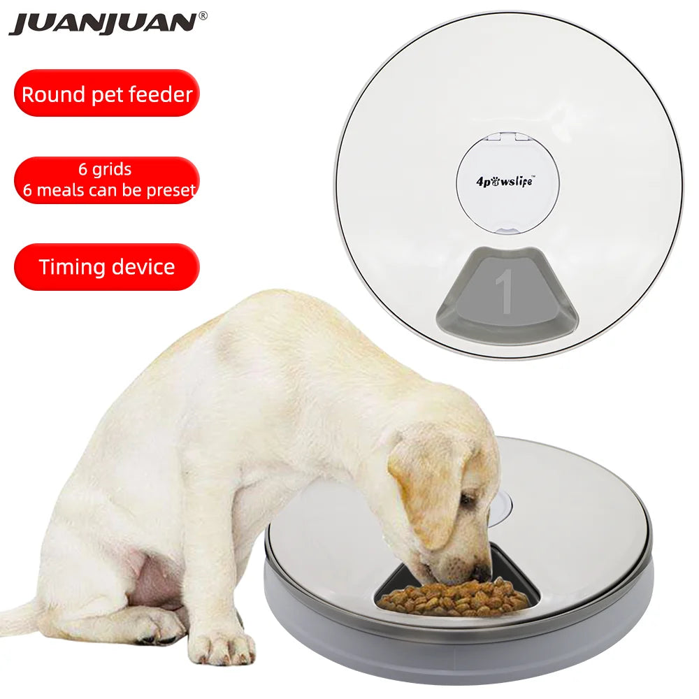 24 Hours Pet Automatic Feeder, Smart feeder with 6 grids and timing device for customizable meal portions and schedules.