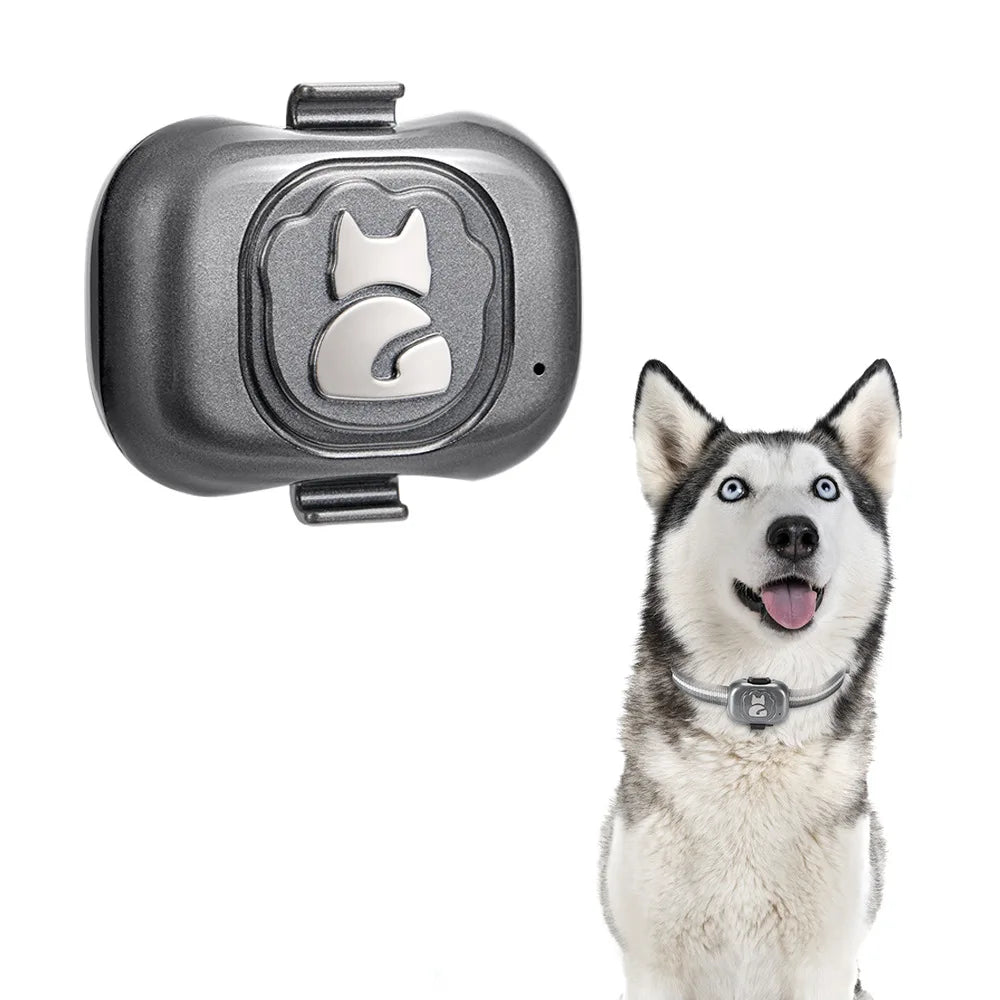 Dog Collar, User-friendly app for seamless connection to pet collar, offering easy navigation and access to features.