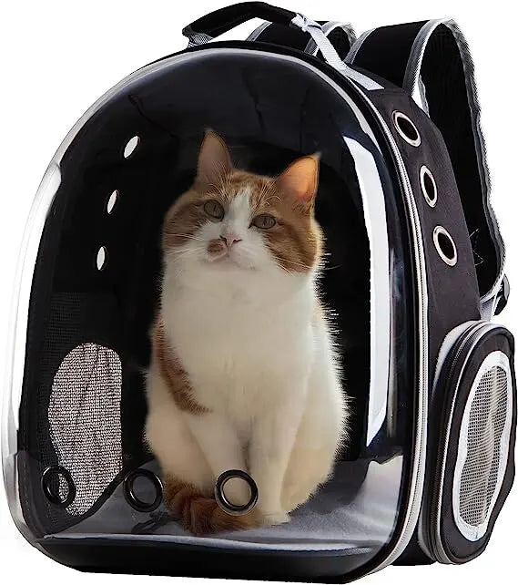 Cats on the go: Stylish pet carrier backpack for travel