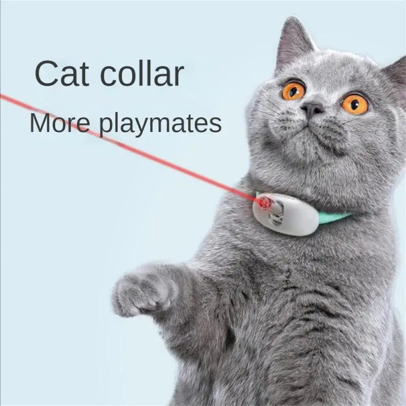 Pet Exercise Toys, Playful bonding experience for you and your feline friend, fostering connection and joy.