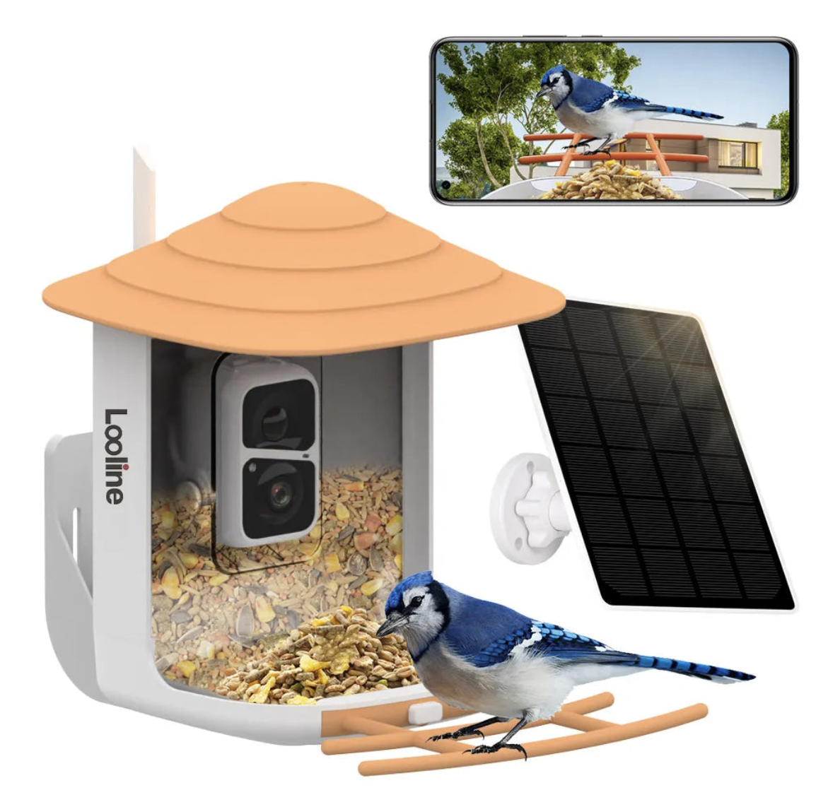 New Bird Feeder With Camera - Bird Feeders House Watching Camera Wireless WiFi Bird Camera For Outdoor AI Recognition Bird Species